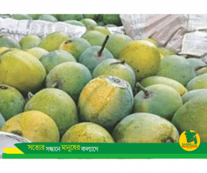 বাংলাদেশের জি আই পণ্য খিরসাপাত আমকে ভারতীয় জি আই পণ্য হিমসাগর হিসেবে বিক্রি বন্ধ করুন