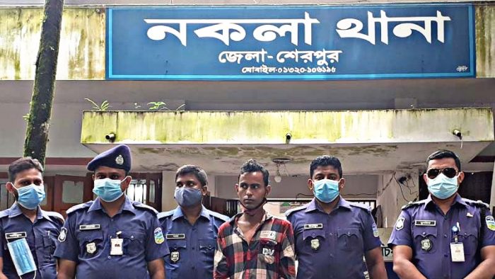 নকলায় ২০ কেজি গাঁজা জব্দ !